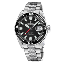 Load image into Gallery viewer, The Originals/Diver